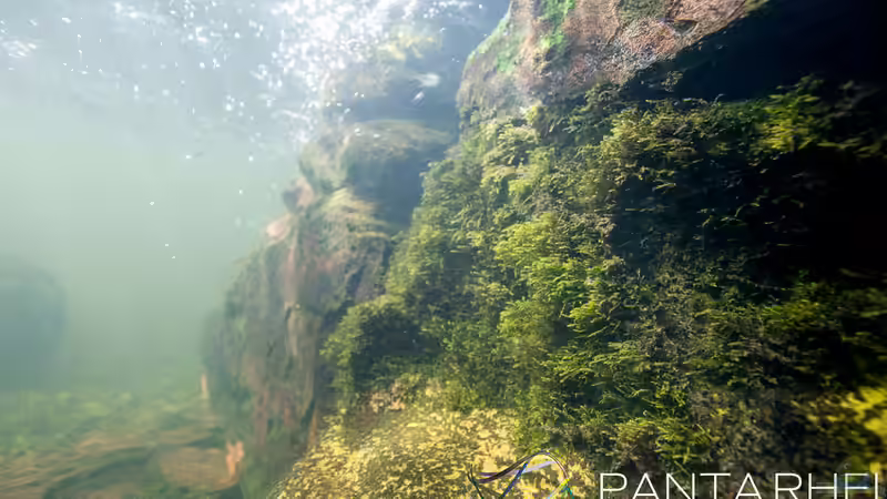 Rio Tapajos Referenz von maxheadroom (39)