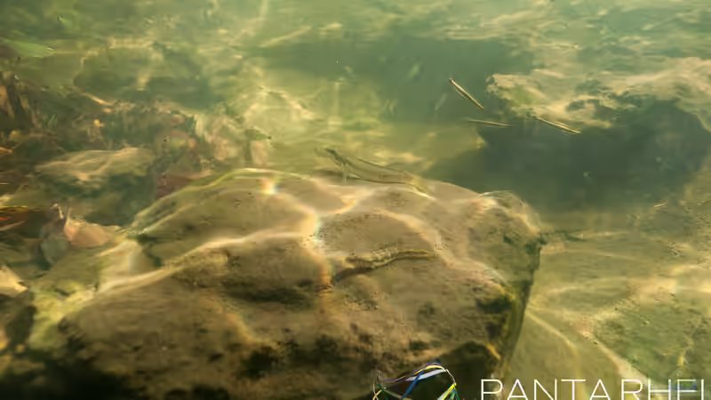 Rio Tapajos Referenz von maxheadroom (40)