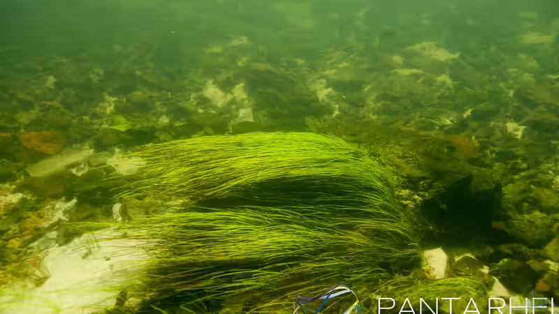 Rio Tapajos Referenz von maxheadroom (41)