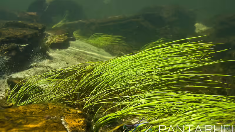 Rio Tapajos Referenz von maxheadroom (43)