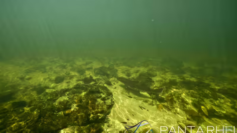 Rio Tapajos Referenz von maxheadroom (44)