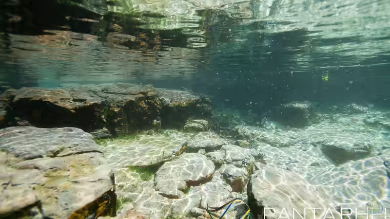 Rio Tapajos Referenz von maxheadroom (45)