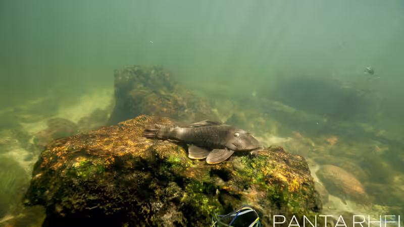 Rio Tapajos Referenz von maxheadroom (46)