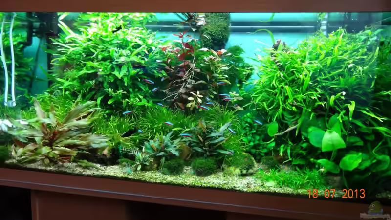 RIO-Word im Sommer 2013 von Volkmar1 (6)