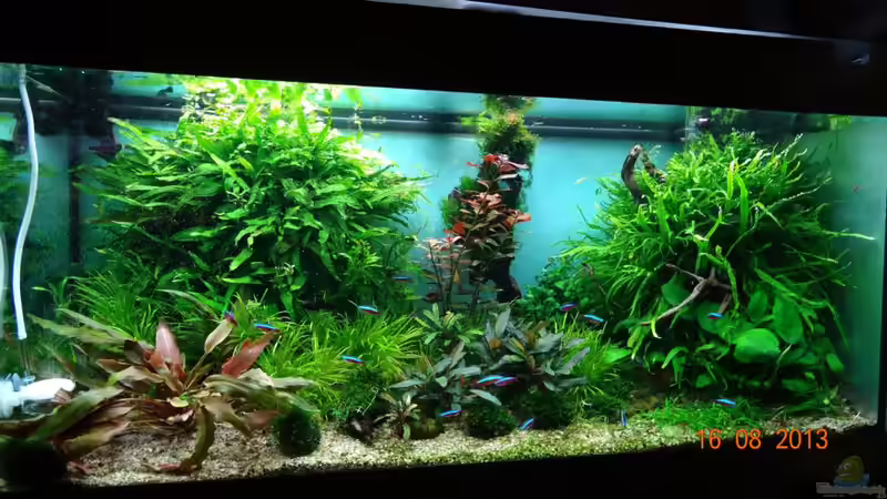 RIO-World im August 2013 von Volkmar1 (5)