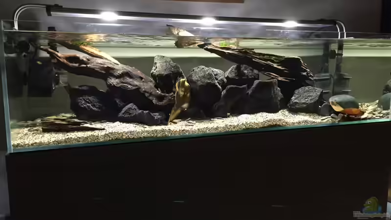 Rio Xingu Biotop von Macbjoern (1)