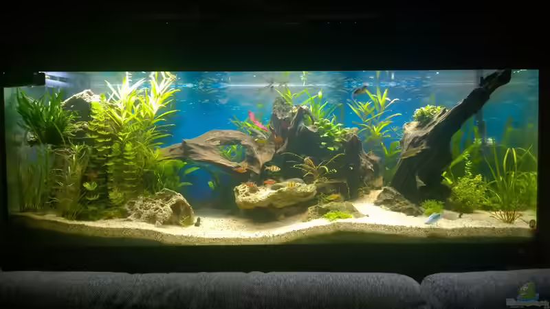 Rio400 mit ScapingLight von schuemic (3)