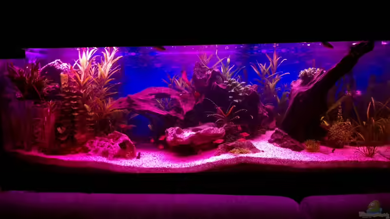 Rio400 SL Abendrot von schuemic (11)