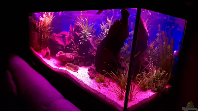 Rio400 SL Abendrot von schuemic (12)