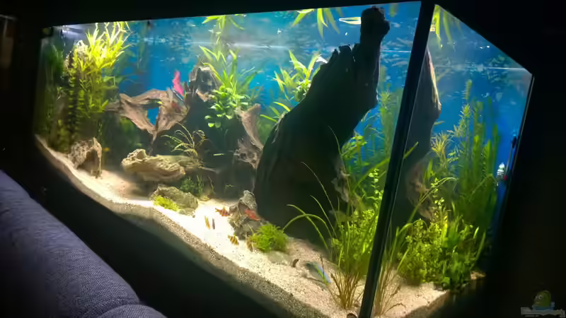 Rio400 SL von schuemic (6)