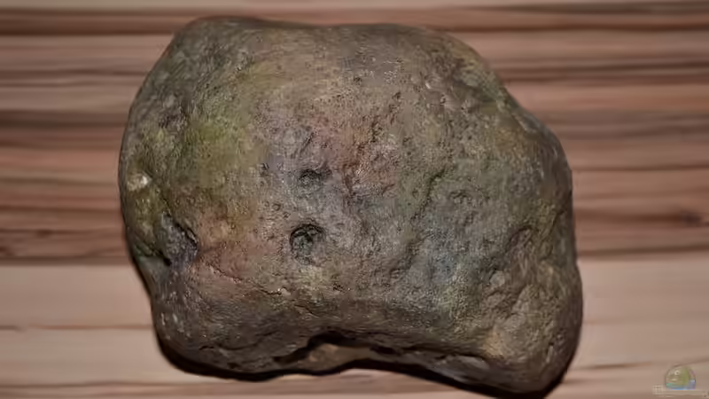 River Stone B 17x14x10 cm Oberseite von GGuardiaNN (19)