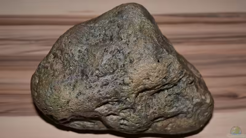 River Stone C 18x12x10 cm Oberseite von GGuardiaNN (21)