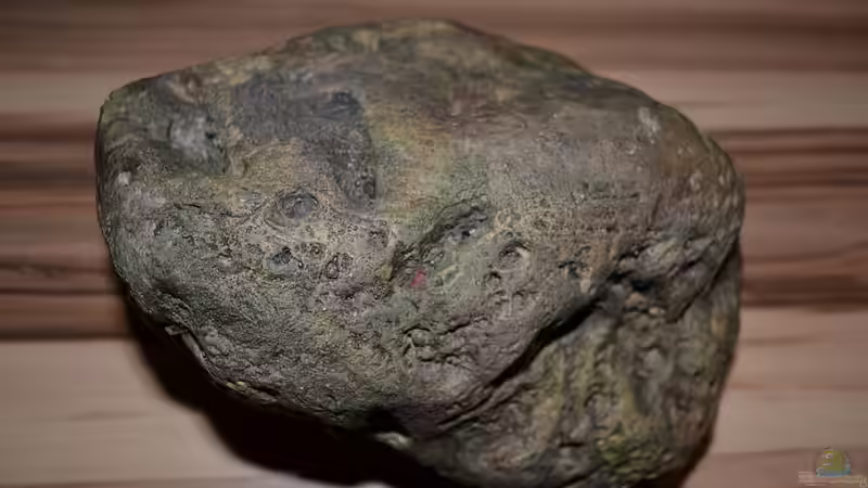 River Stone F 26x23x16 cm Oberseite von GGuardiaNN (23)