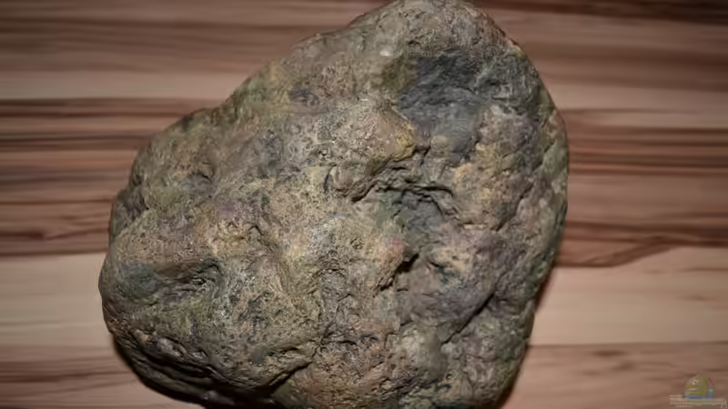 River Stone F 26x23x16 cm Unterseite von GGuardiaNN (24)