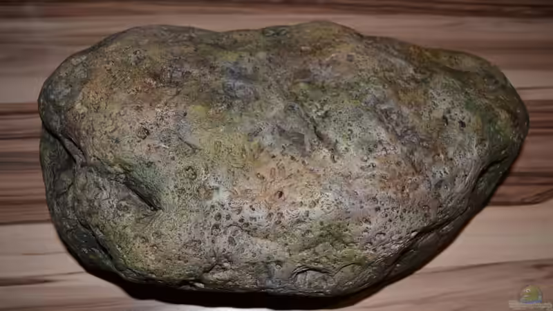 River Stone H 40x24x12 cm Unterseite von GGuardiaNN (26)