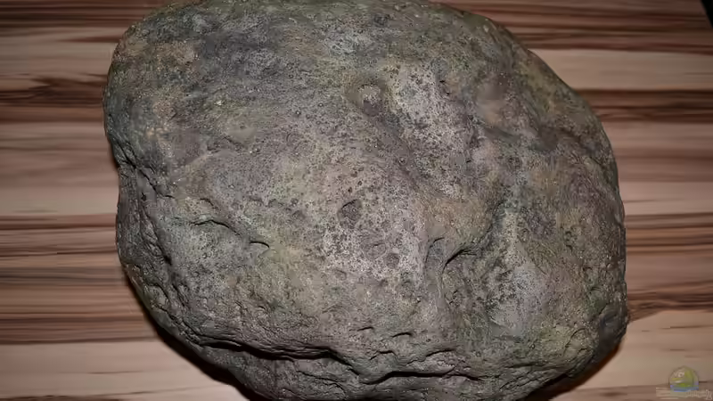 River Stone I 42x36x20 cm Oberseite von GGuardiaNN (27)