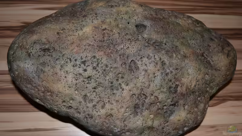 River Stone K 59x37x17 cm Oberseite von GGuardiaNN (29)