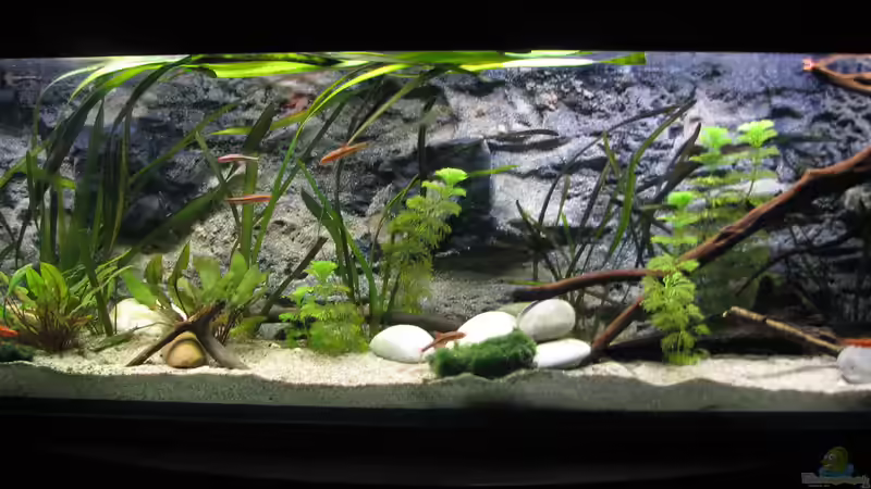 Riverside von Bämbel (2)