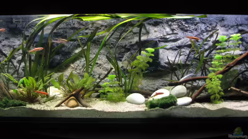 Riverside von Bämbel (3)