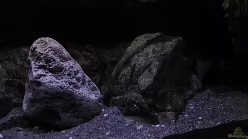 Riverstone C mit kleinen Teil vom Modul H von Sebastian O. (15)