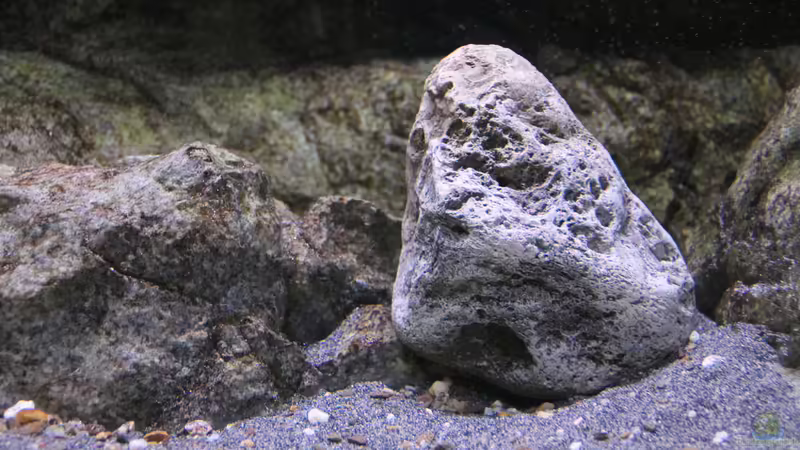 Riverstone C von Sebastian O. (13)