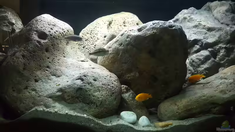 Riverstone L, I, K, H, Q von Mel (25)