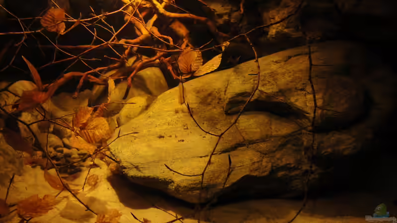 Riverstone O von Laura (36)