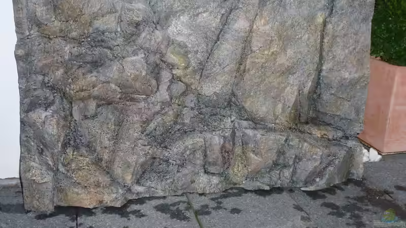 Rockzolid Kisar (linker Schenkel) von Tobias.Neher (39)