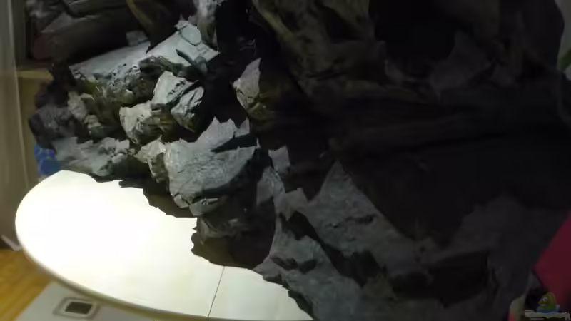 Rockzolid-Modell : Sumatra von Frank Wollenburg (14)