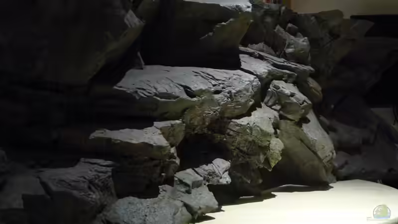 Rockzolid-Modell : Sumatra von Frank Wollenburg (15)