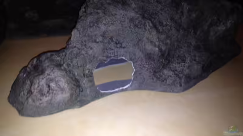 Rockzolid Modul mit Versteckmöglichkeit von Tobias Sch. (11)