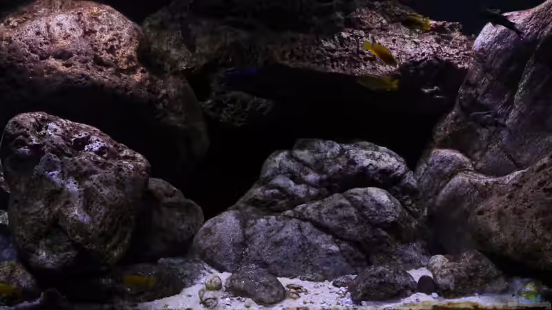 Rockzolid Module von Bämbel (11)