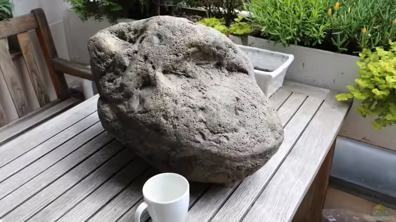 Rockzolid River Stone J von Cruiser Bruno (57)