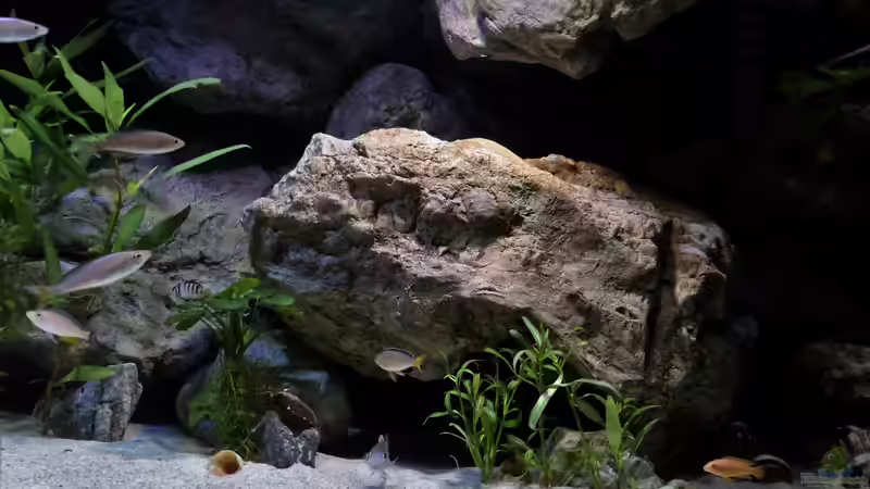 Rockzolid River Stone R von Martina (17)