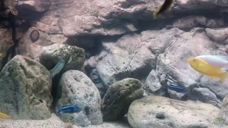 Rockzolid Riverstones links von Tom (7)