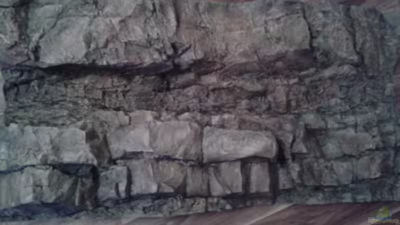 RockZolid Rückwand Timor von FunkyTraut (6)