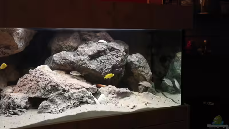 Einrichtungsbeispiele für Aquarien mit Produkten von Rockzolid