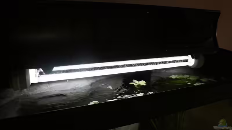 Röhre mit Fliegengitter bespannt. belechtung damit um ca.30-50% reduziert von Marco Vasev (16)