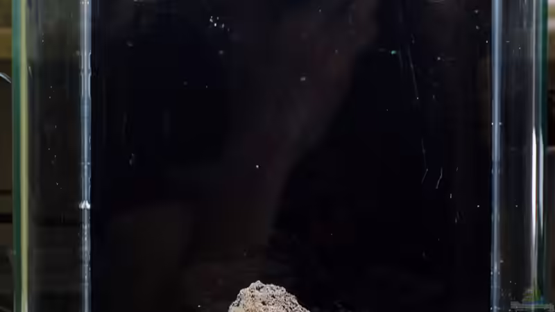 Rohbau... von Julian H. (2)