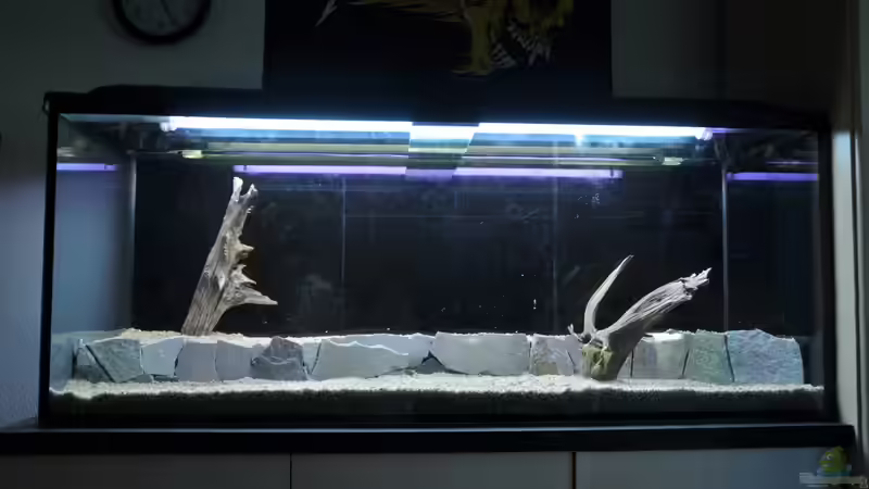 Rohbau  von Andy90 (3)