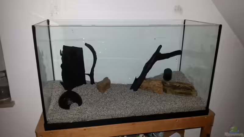 Rohbau mit Deko von Jonas (Trancemania) (12)