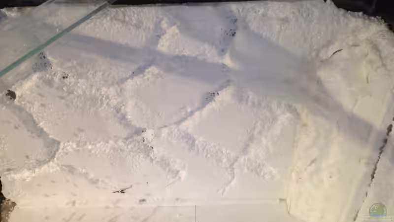 Rohbau Rückwand von ronnsch (11)