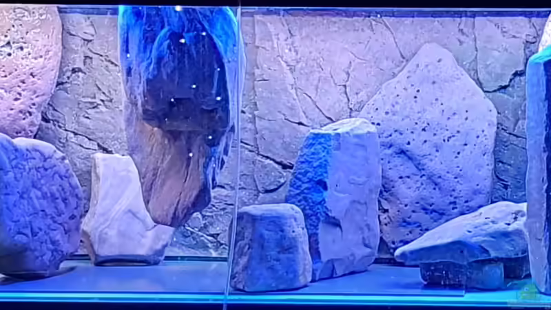 ´Rohbau´-versuche von ravaka (33)