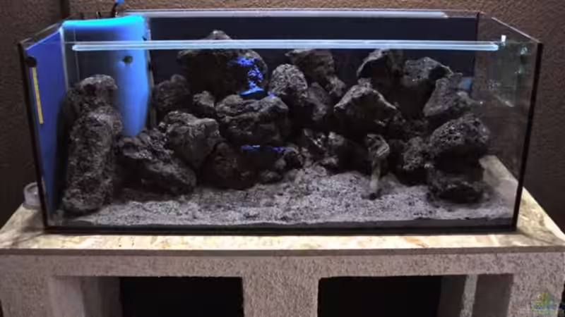 Rohbau von Bartosz Jung (7)