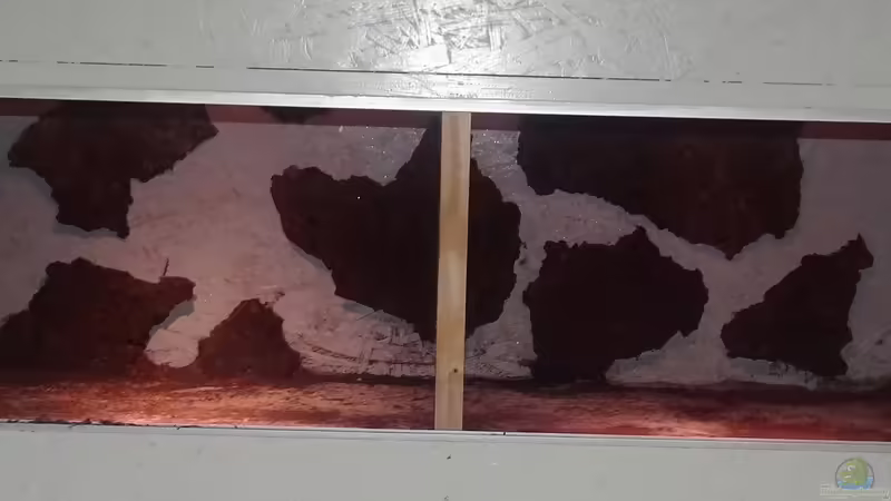 Rohbau von Cichliden-Kabuff (6)