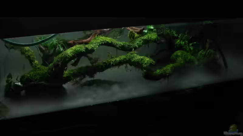 ´Rohbau´ von johnK