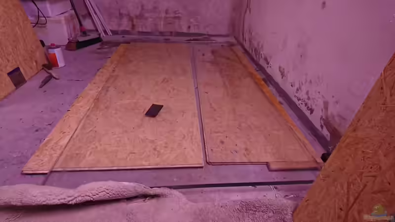 Rohbau von kellerkind (14)