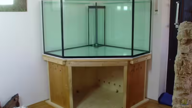 Rohbau von photizo (11)