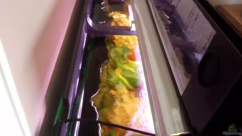 Rohrverlauf von Marcus Egeling (7)