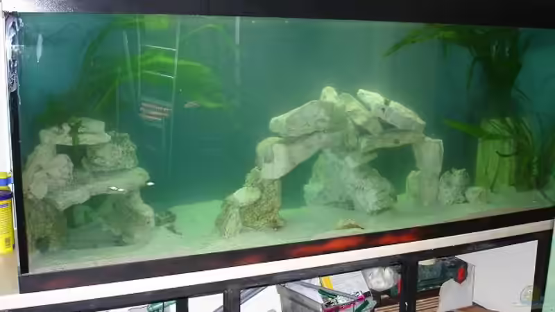 Rohzustand von exodus73 (3)